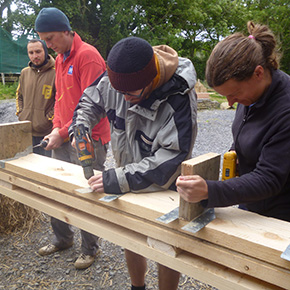 beams and joists